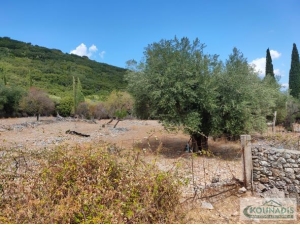 075, Plot  for sale in the village Poulata of Sami,