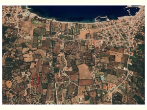 080, Αγριτεμάχιο στη Σάμη