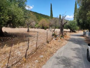 021, Plots  for sale in the village Poulata of Sami,  Kefalonia