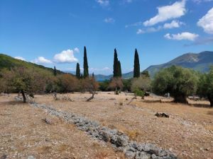 021, Plot  for sale in the village Poulata of Sami,  Kefalonia