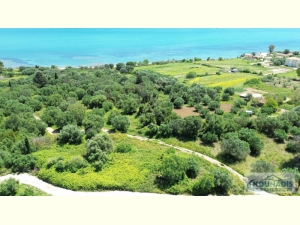 032, Plot For Sale in Lixouri 